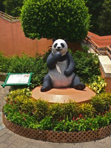 OUTSIDE THE GIANT PANDA EXHIBIT 