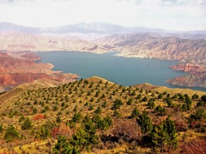 View of the Yellow River (黄河) from Qinghai National Forest Park(青海国家森林公园).